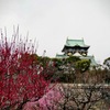 寒い日の大阪城梅林