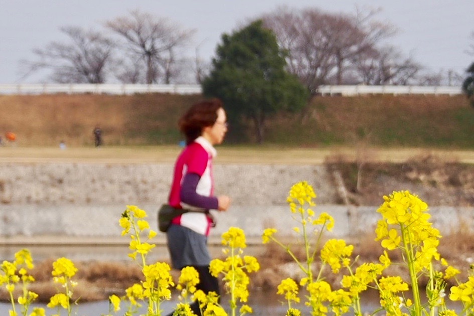 お正月のランナー