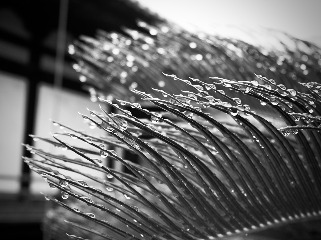 水滴