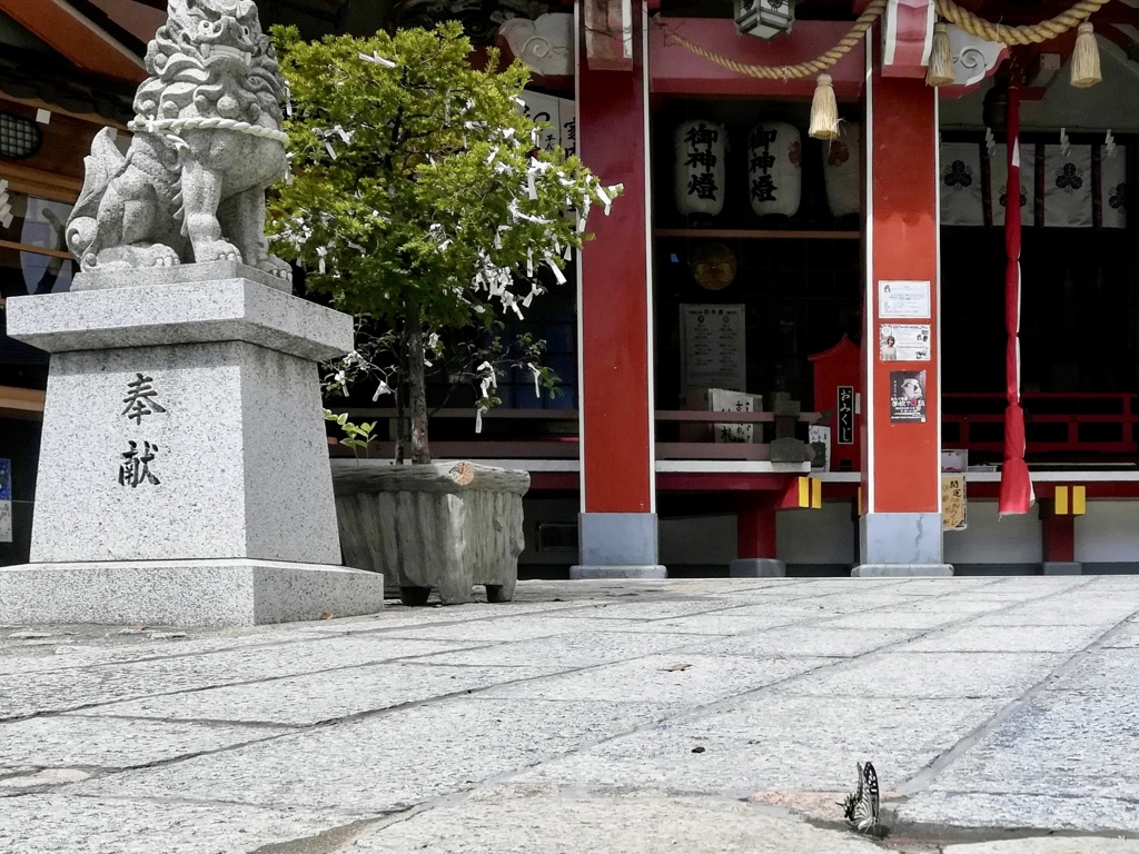 お盆の尼崎えびす神社３