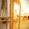 雑貨屋さんの明かりに誘われて４
