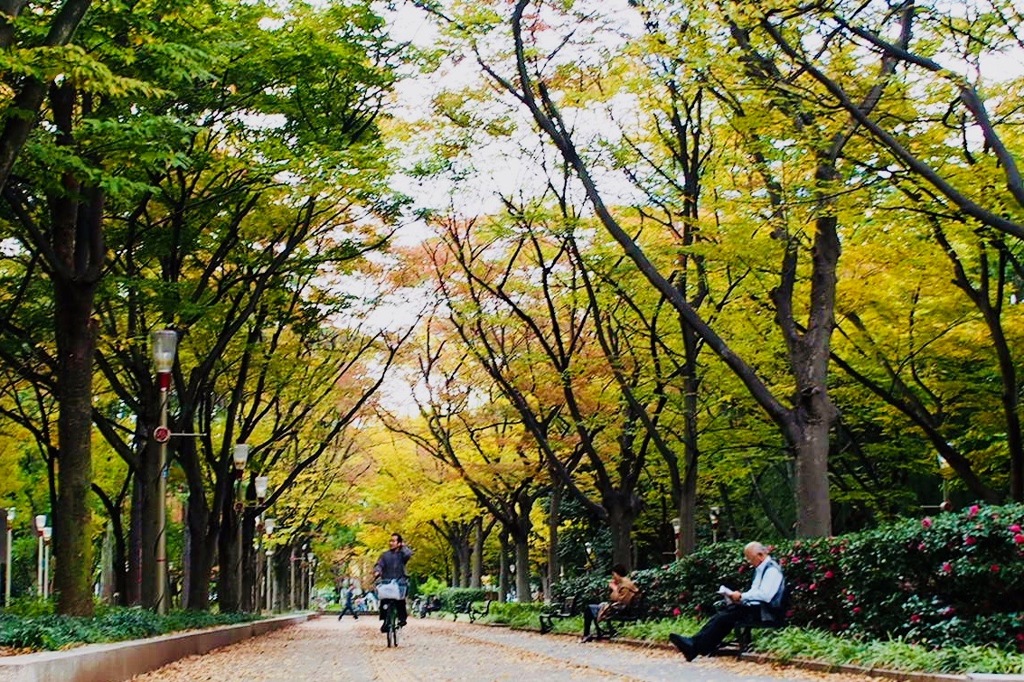 大阪　靭公園の午後