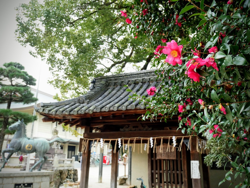 藤森神社