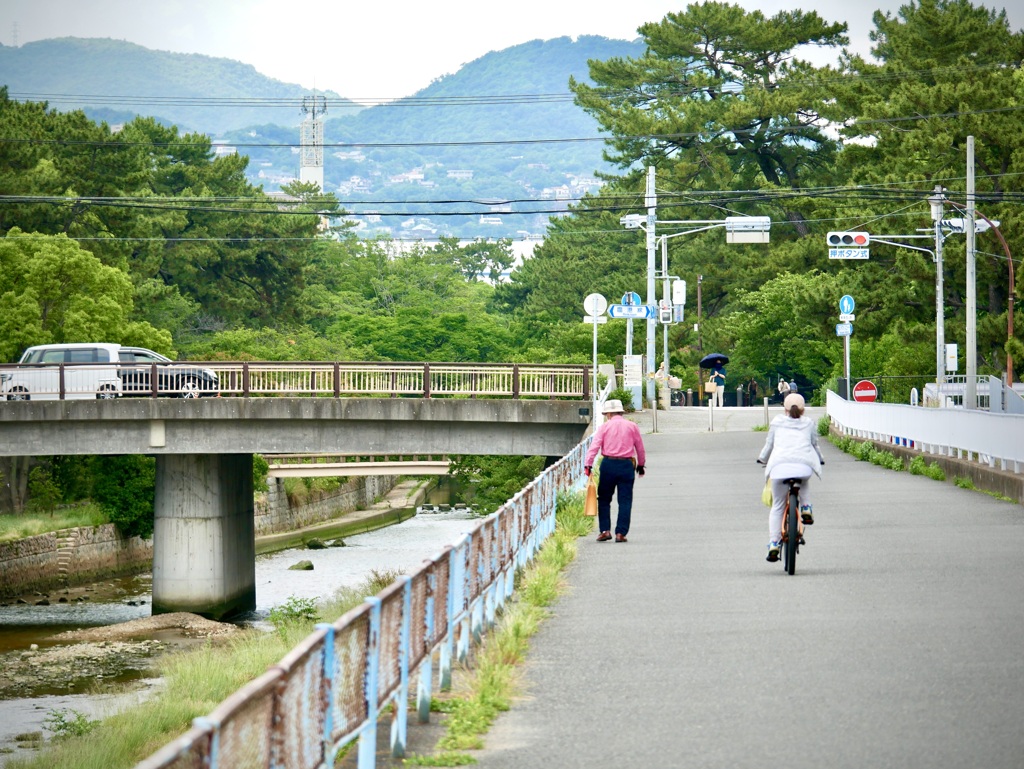 夙川散歩