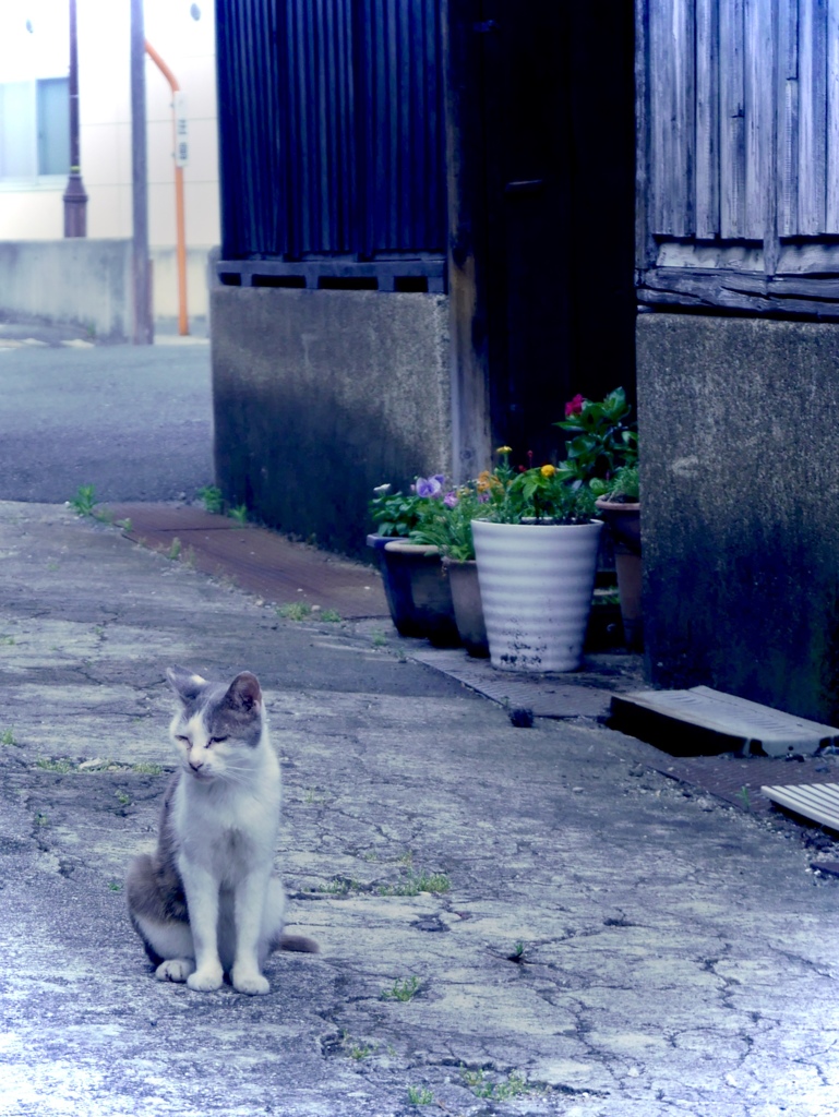 尼崎寺町ブルー９