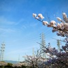 桜と鉄塔と青い空