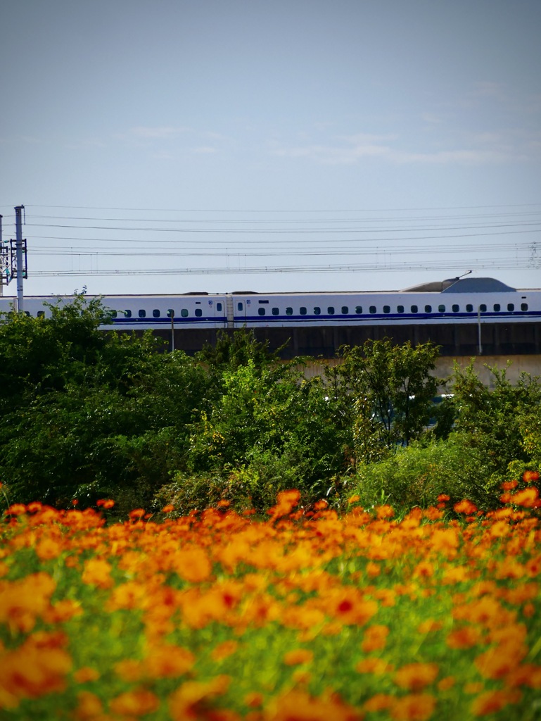 失敗・・(_ _).｡o○