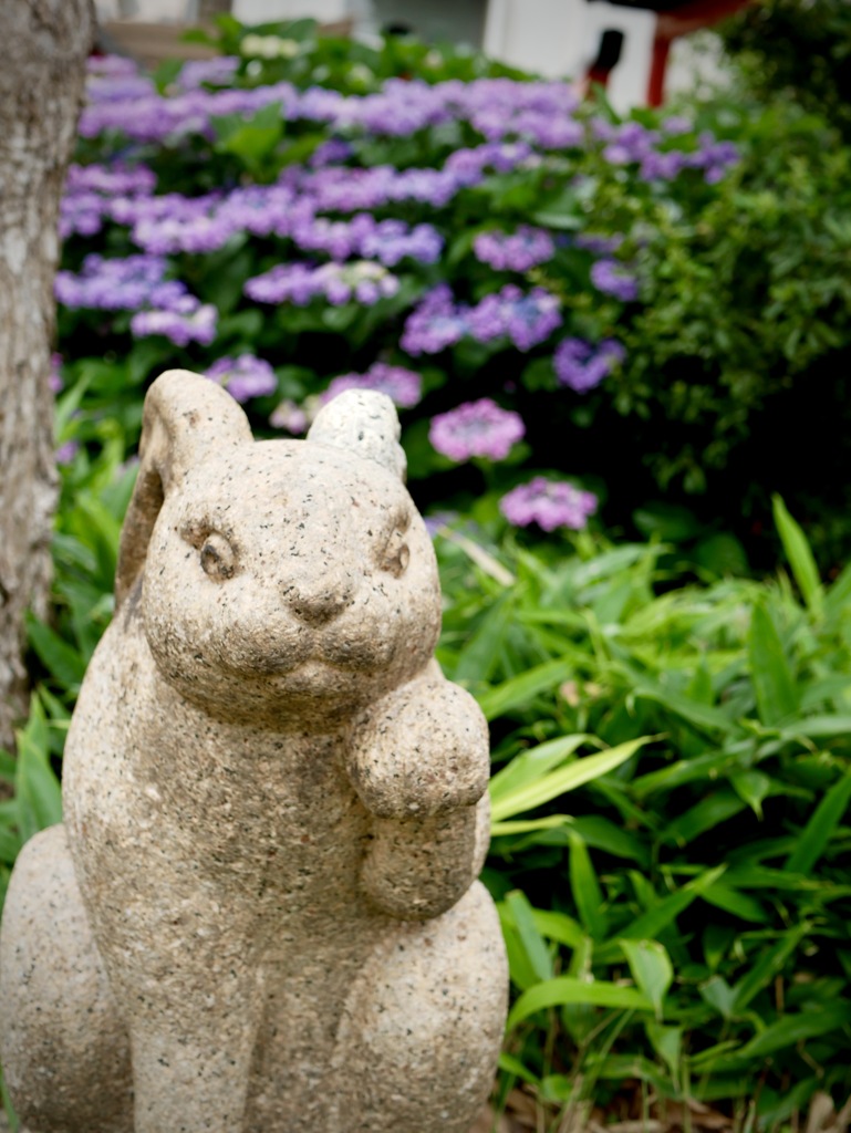 6月の尼崎えびす神社