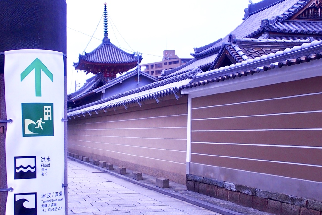 海抜−１ｍの寺町