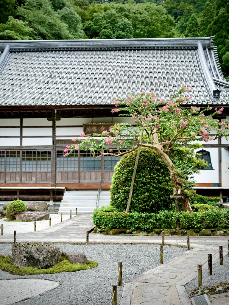 城崎にて・・極楽寺２
