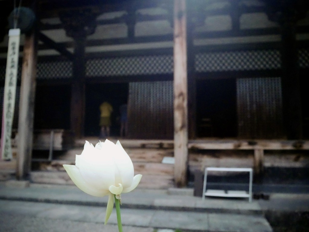 ならまち　元興寺にて5