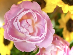 お花を飾って、、