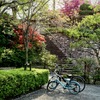 親子自転車