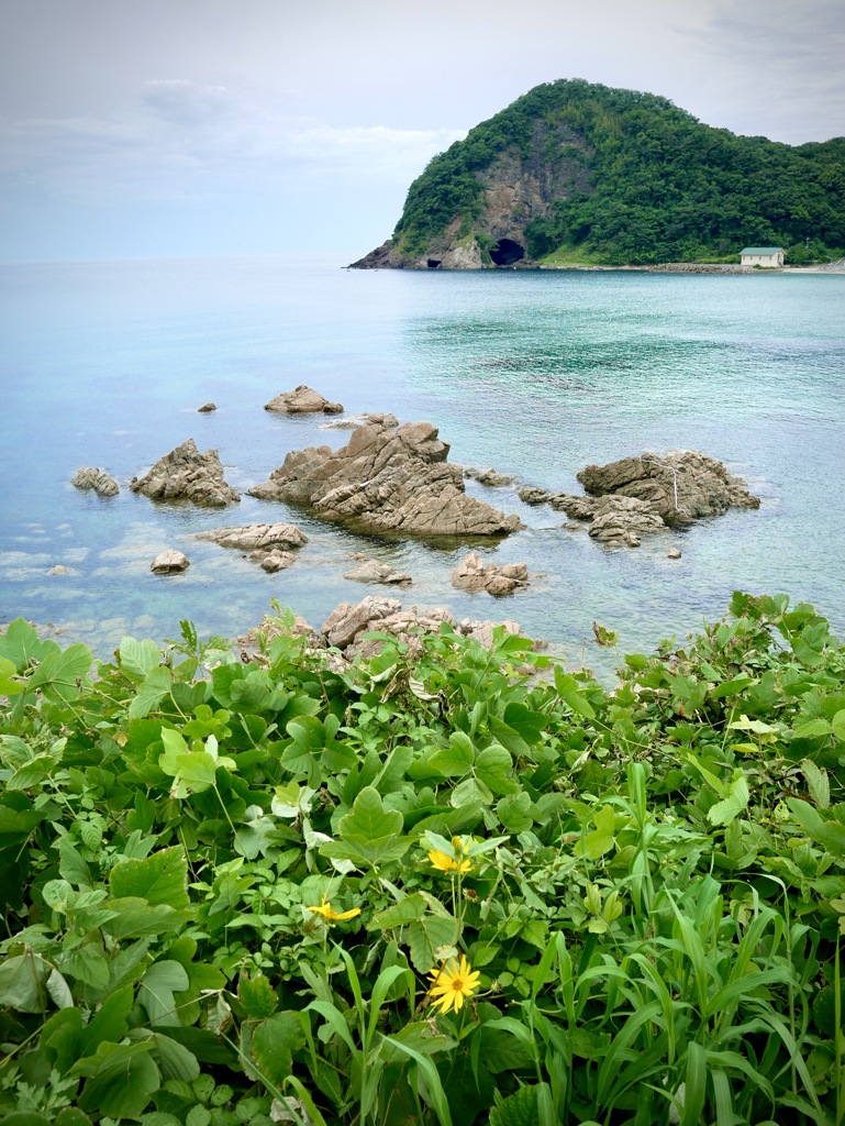 久々に見る日本海