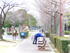 朝の公園