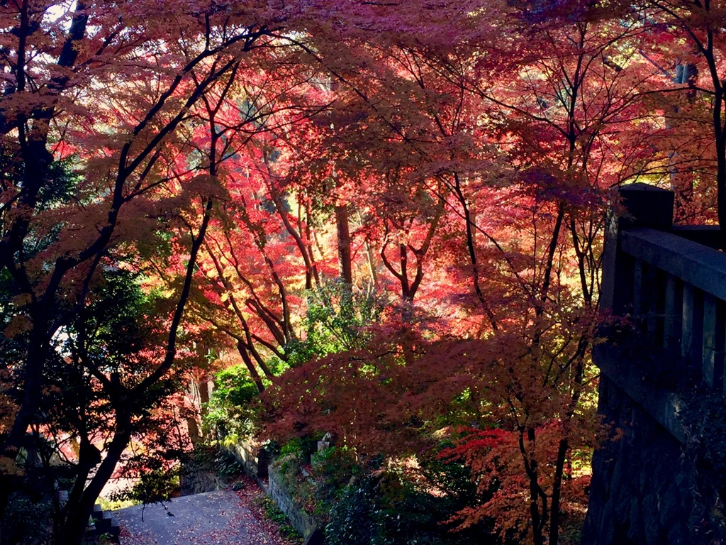 雷聲寺にて２