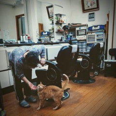 理髪店のお母さんと愛猫