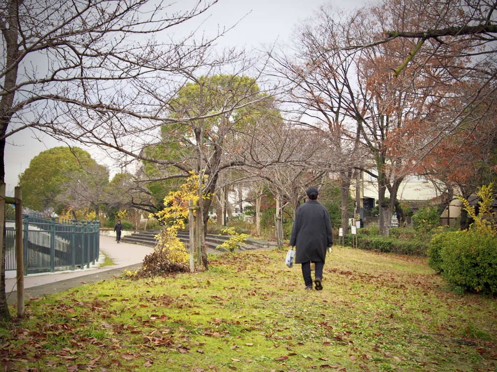 冬の散歩道