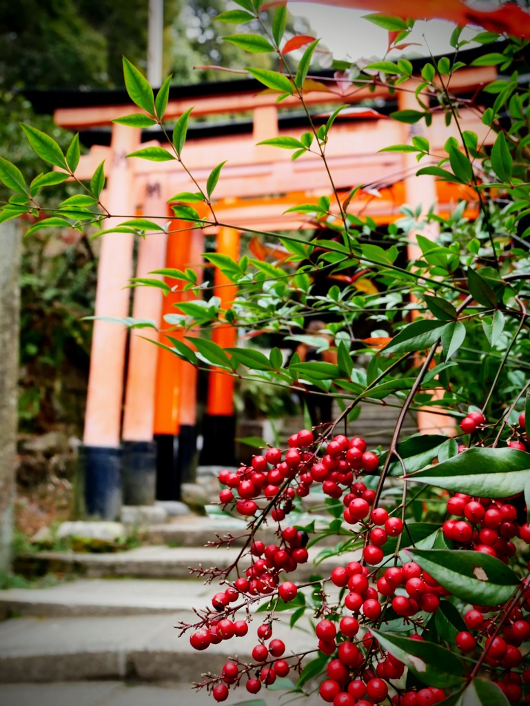 紅と朱