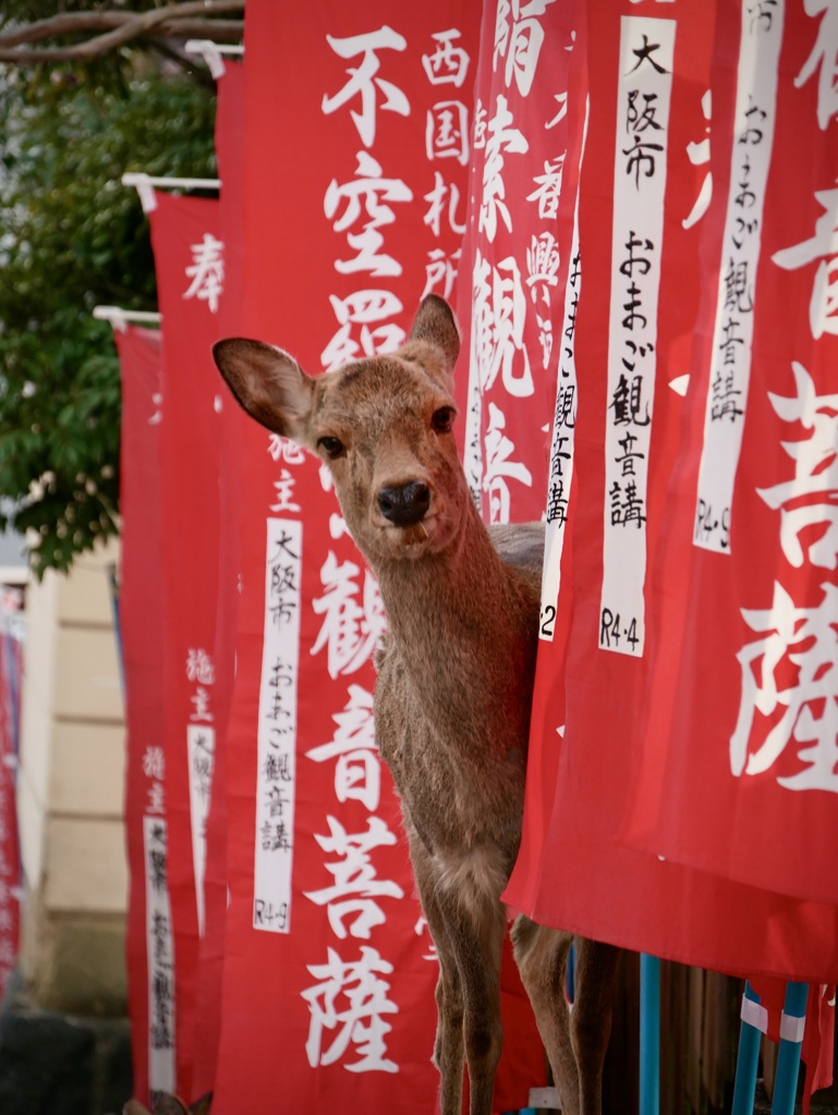 お帰りですか・・