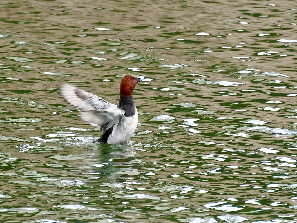 雨上がりの寒い朝２