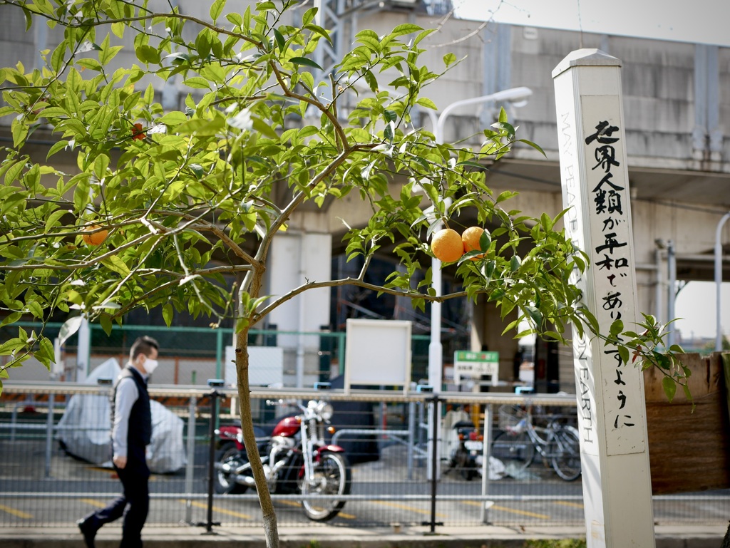 「世界人類が平和でありますように」尼崎えびす神社にて