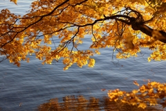 湖畔の紅葉　4