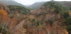 十勝岳温泉　