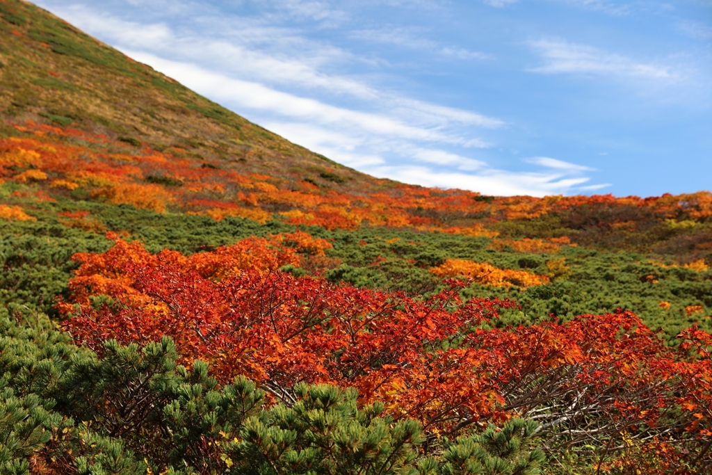 秋田駒ケ岳　紅葉
