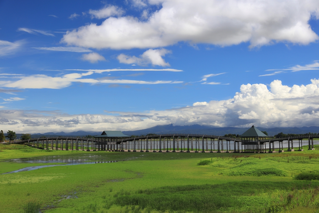 夏　鶴の舞橋　1