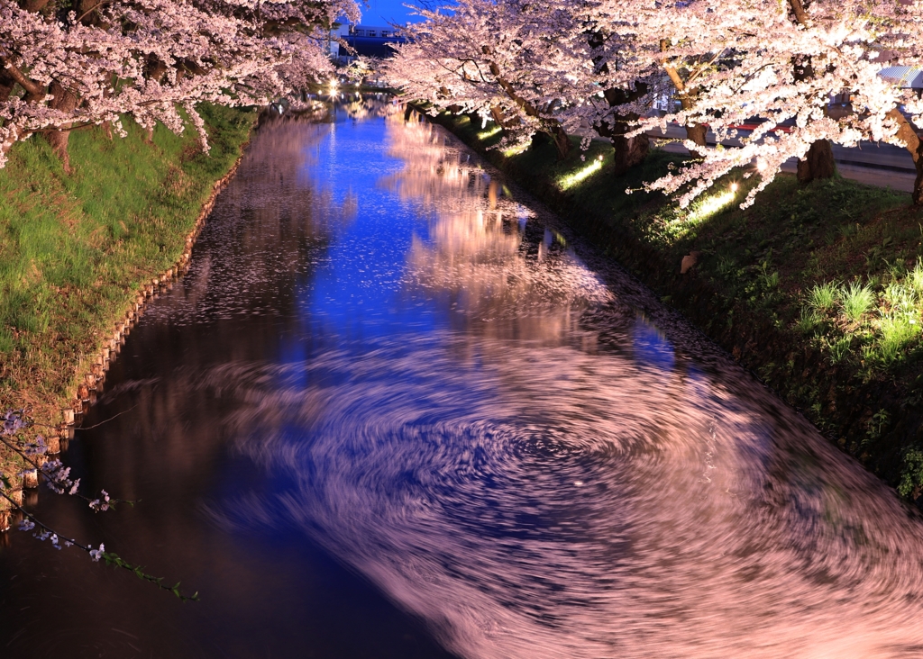 弘前の夜桜