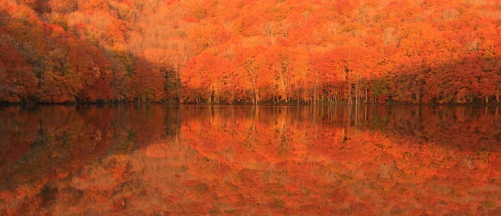 １０月25日　朝