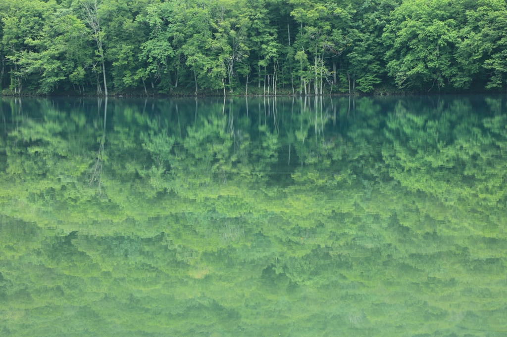 八甲田　蔦沼