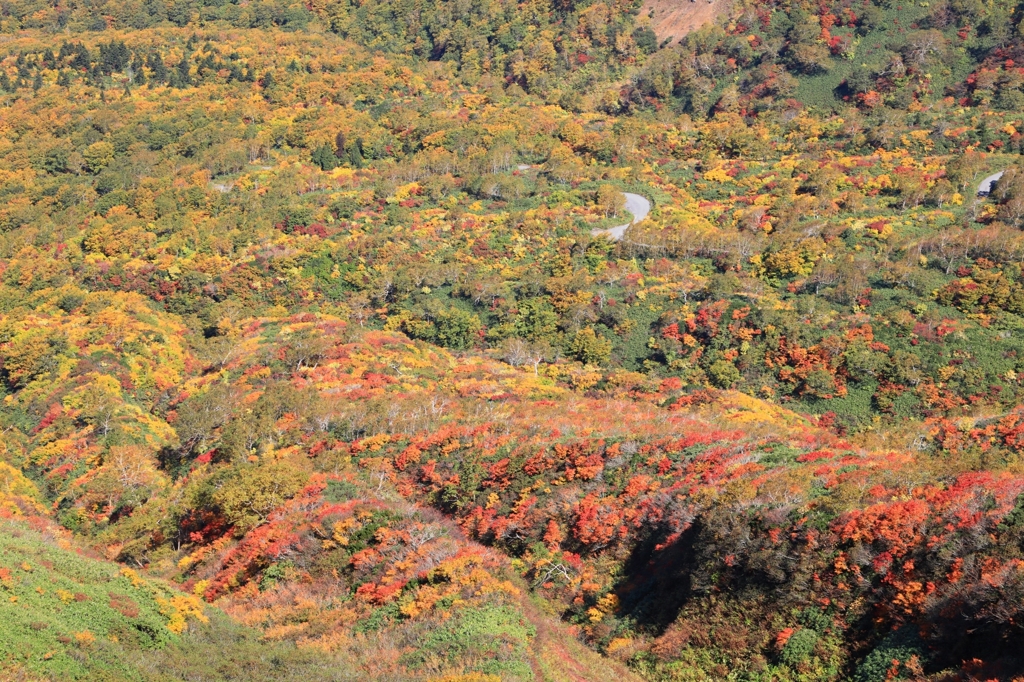 秋田駒ケ岳　3