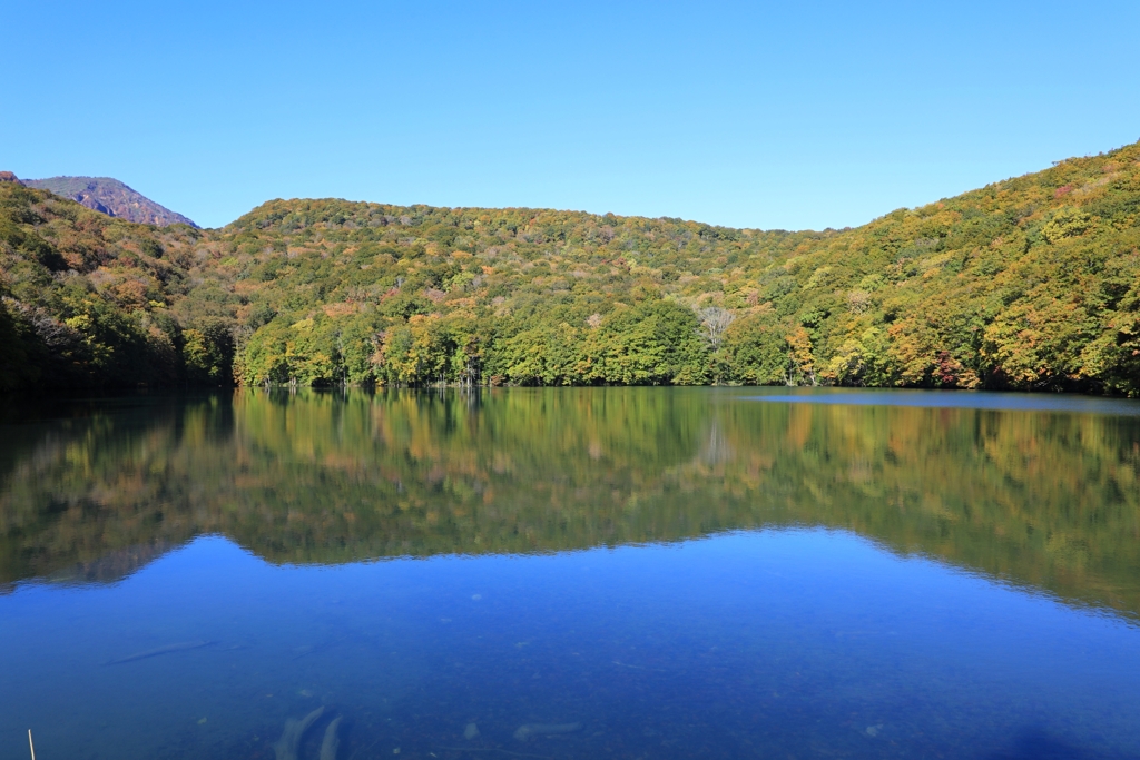 １０月１８日の蔦沼　1
