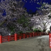 夜の弘前城　6