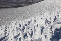 八甲田　樹氷