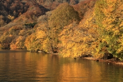 十和田湖　湖畔の秋　1
