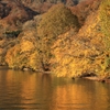 十和田湖　湖畔の秋　1