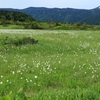 八甲田　毛無岱湿原