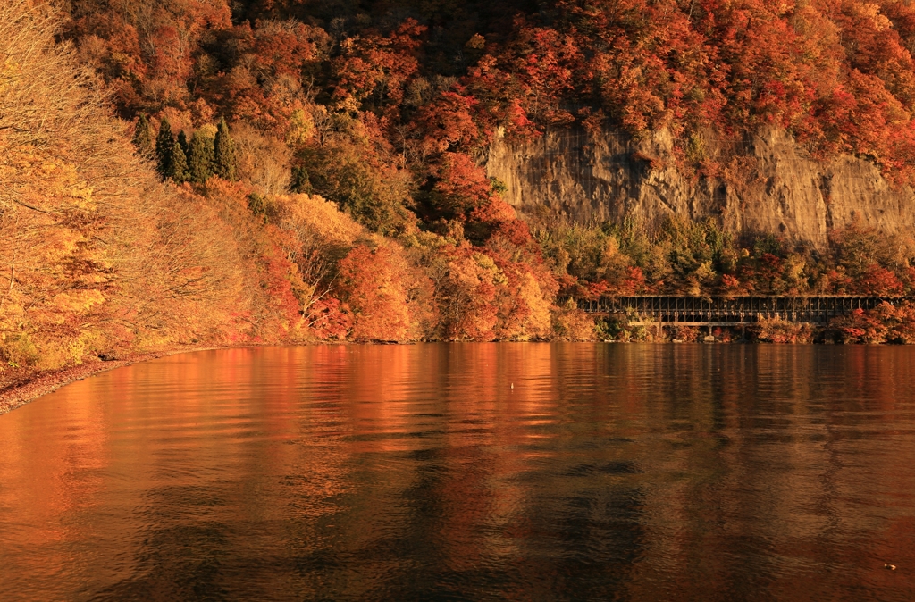 湖畔の紅葉　1