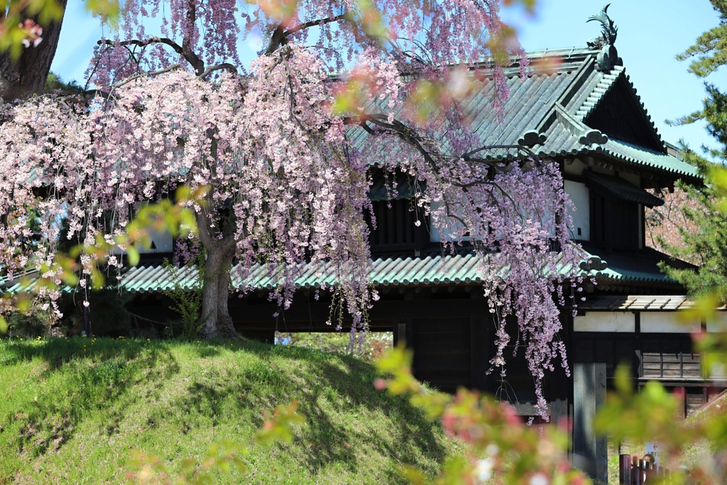 弘前城　三の丸追手門　