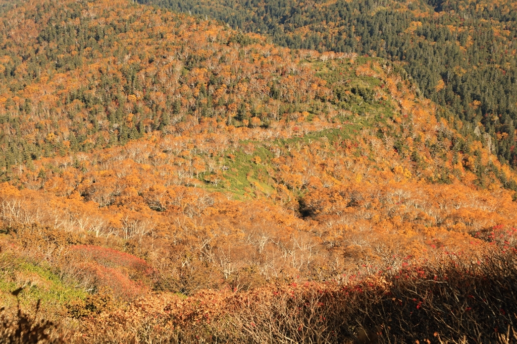 大雪山の秋　4