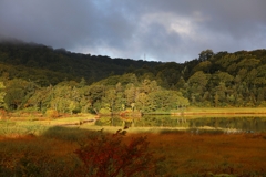 八幡平　大沼湿原