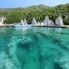 仏ヶ浦の春