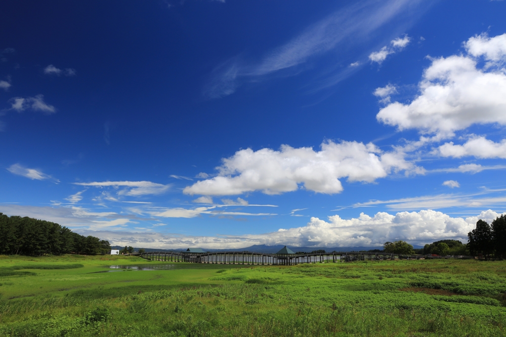 夏　鶴の舞橋　2