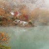 雪と紅葉