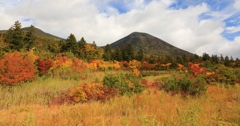 青森　八甲田の紅葉