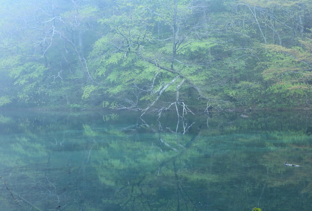 十和田湖　子ノ口　2