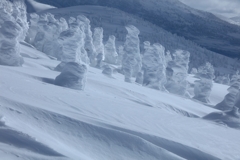 八甲田の樹氷